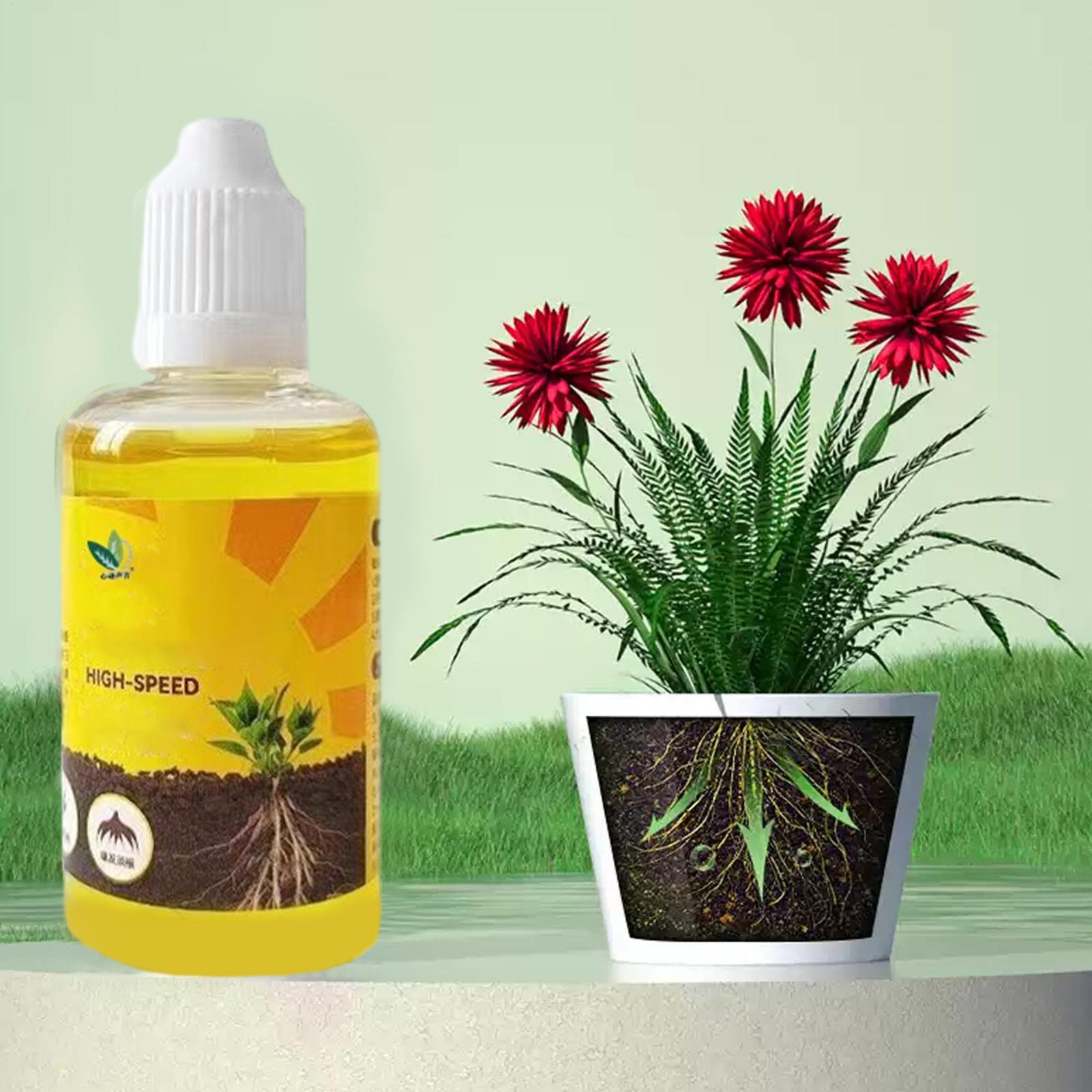 سائل محفز لنمو جذور النباتات،  - مراجعة Root Stimulator Liquid وسعره
