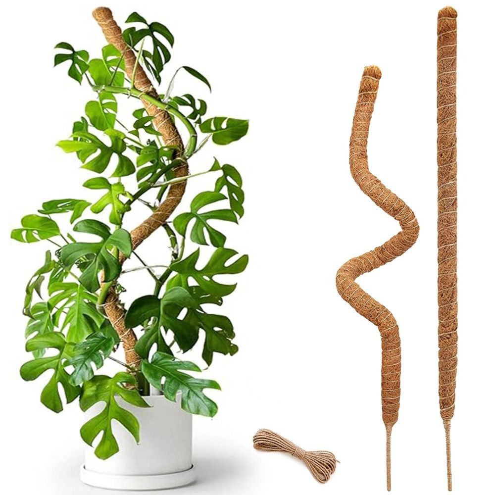 دعامات نباتات قابلة للثني من ا - مراجعة Sphagnum Moss Dry وسعره